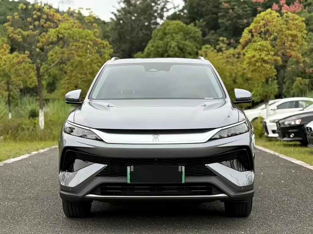 BYD Song Pro New Energy 2024 — фото 2