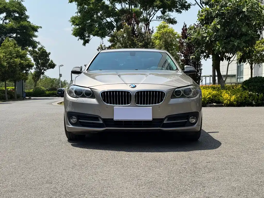 BMW 5 Series 2017 — фото 2