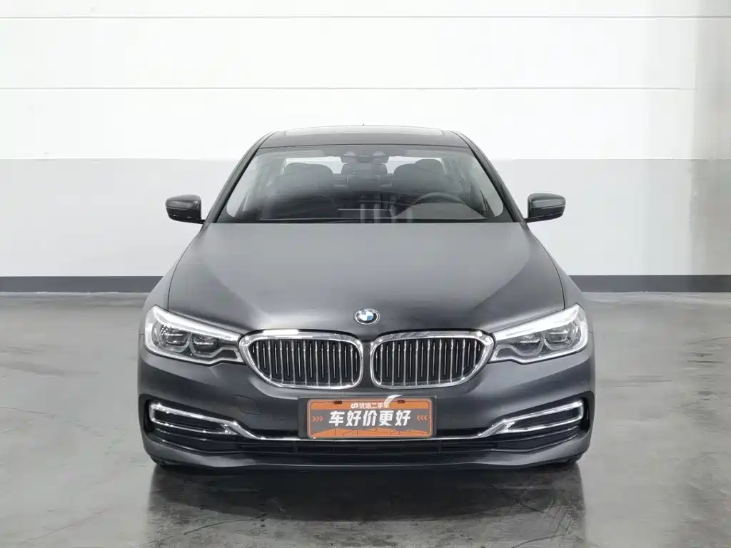 BMW 5 Series New Energy 2019