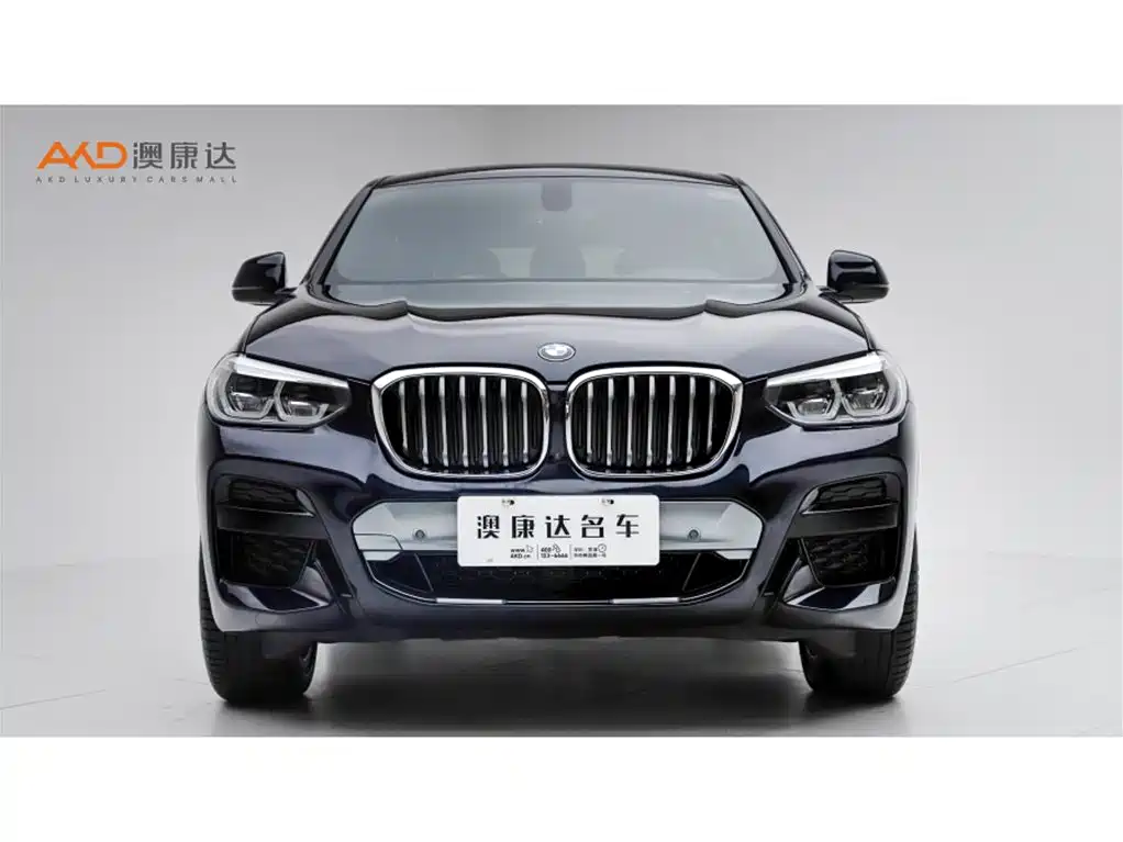 BMW X4 2020 — фото 2
