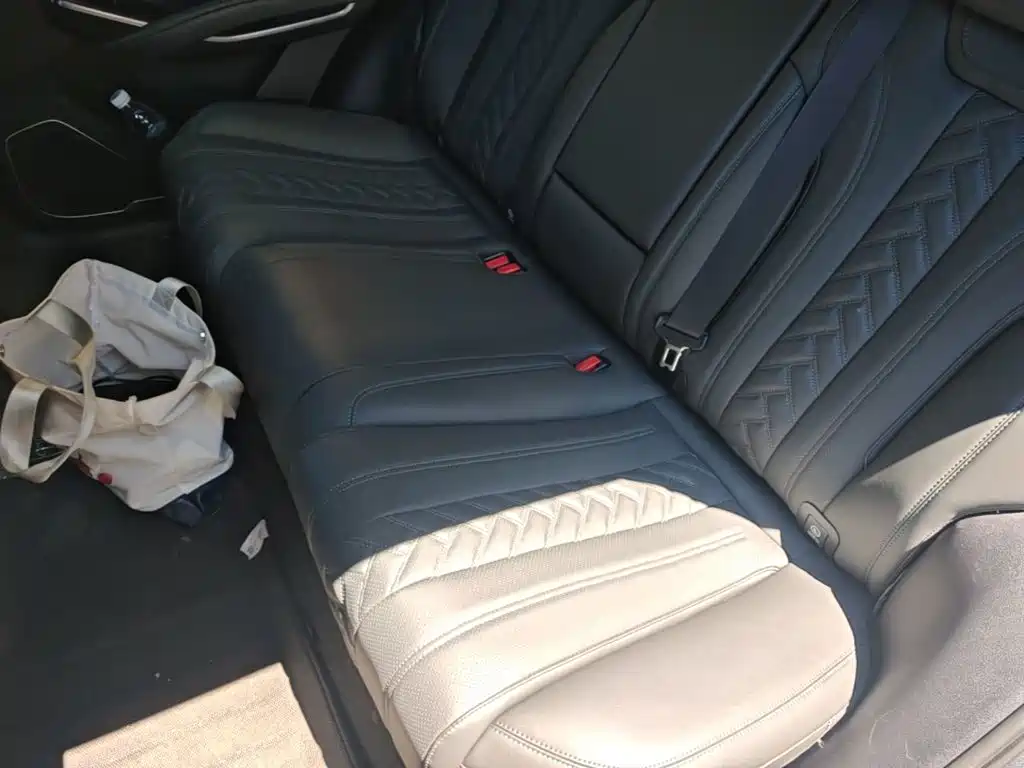 BYD L DM-i 2025 — фото 17