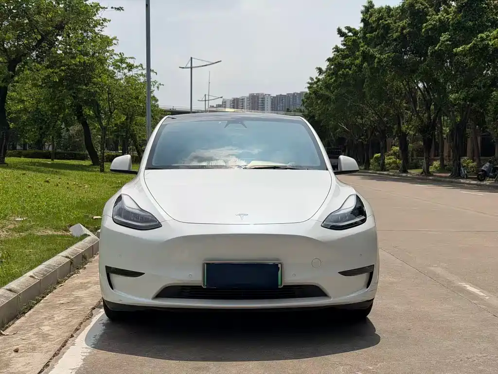 Tesla Model Y 2021 — фото 2