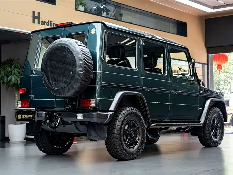 Mercedes-Benz G-Class 2010 — фото 4