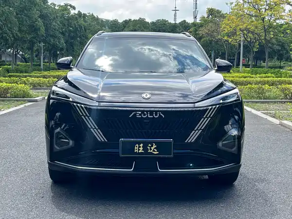 Dongfeng Haohan 2025