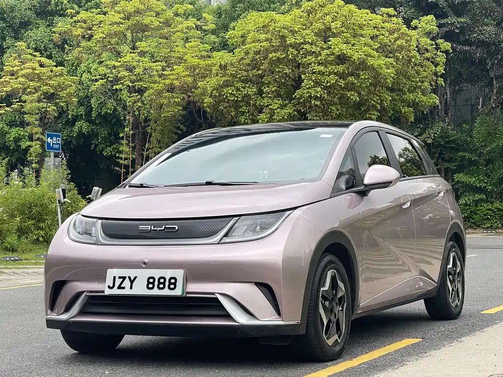 BYD Dolphin 2022