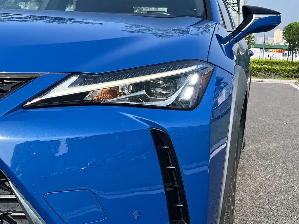 Lexus UX New Energy 2020 — фото 8