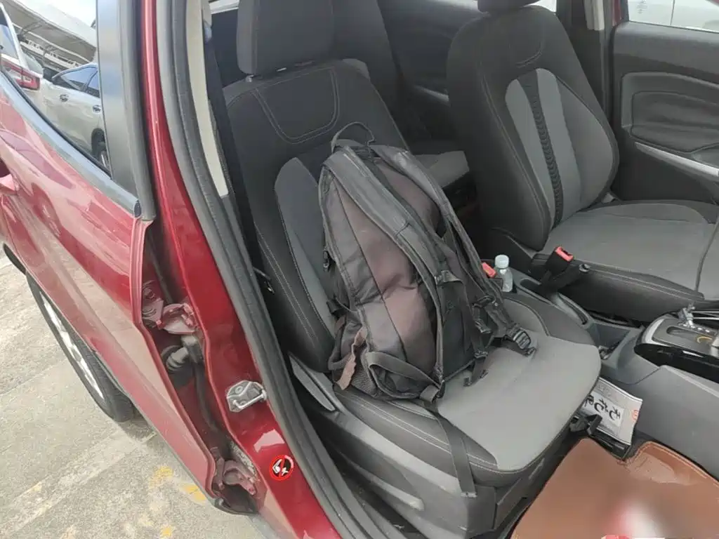 Ford EcoSport 2016 — фото 25