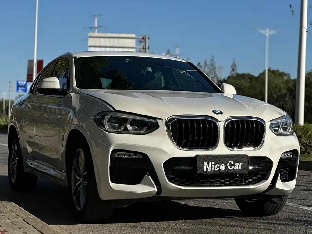 BMW X4 2019 — фото 3
