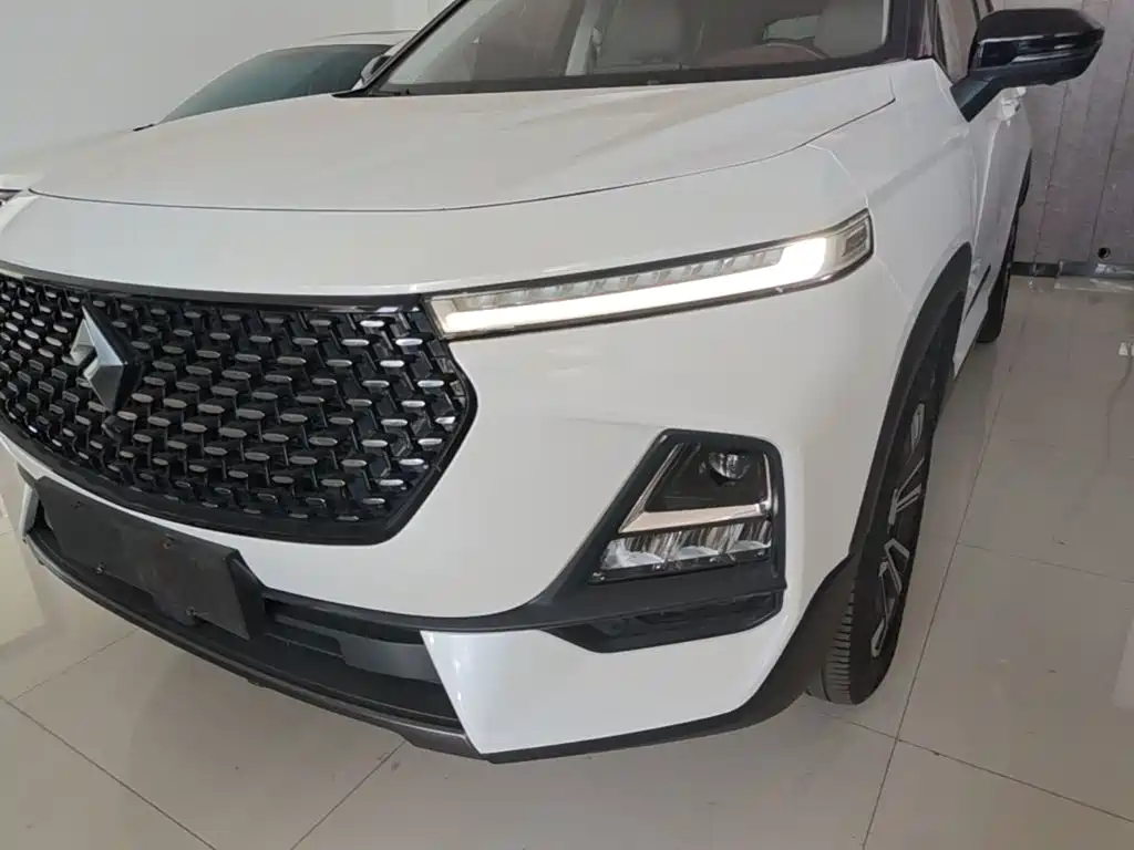 Baojun RS-5 2020 — фото 24