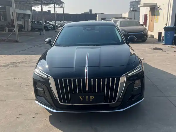 Hongqi H5 2024