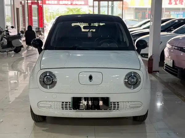 Ora Black Cat 2021