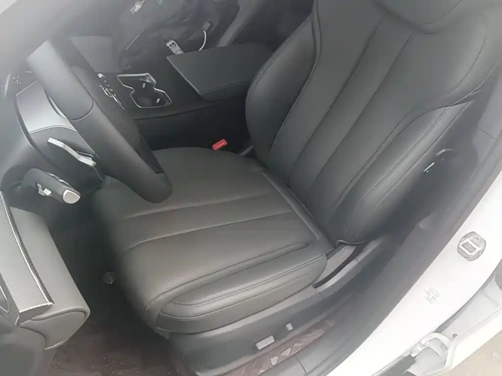 BYD Song Pro New Energy 2026 — фото 15