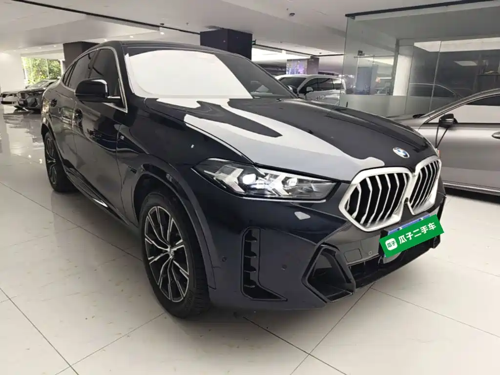 BMW X6 2025 — фото 4