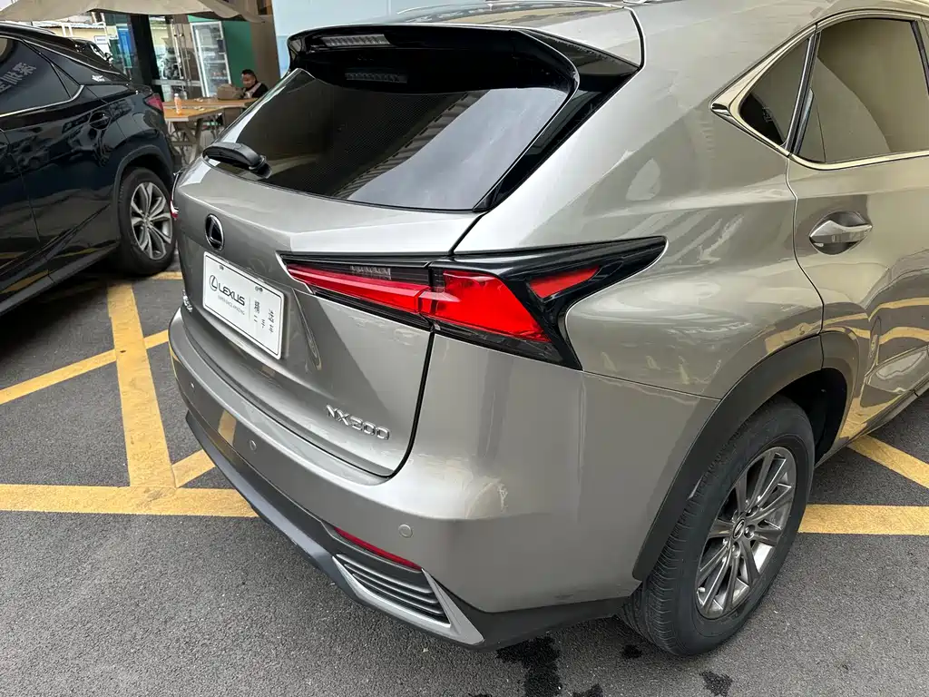 Lexus NX 2019 — фото 23
