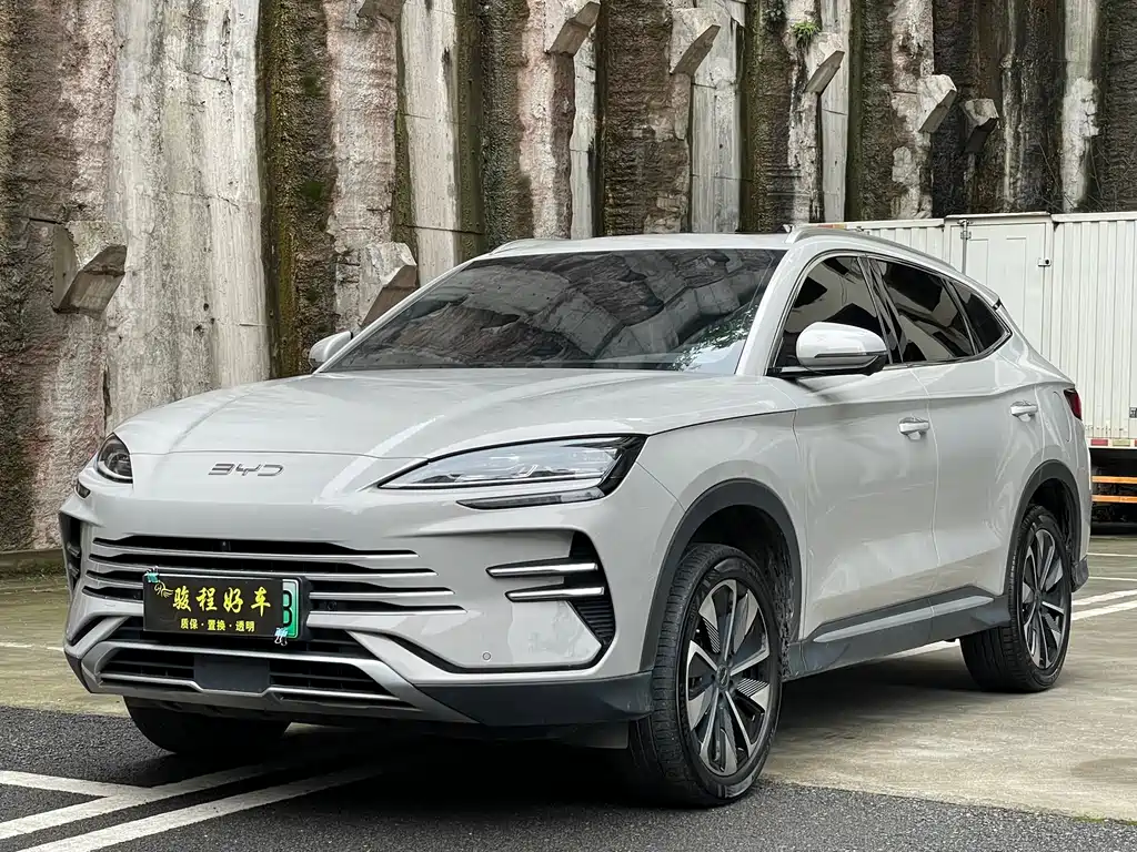 BYD PLUS New Energy 2025 — фото 1