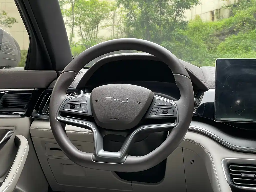 BYD PLUS New Energy 2025 — фото 16