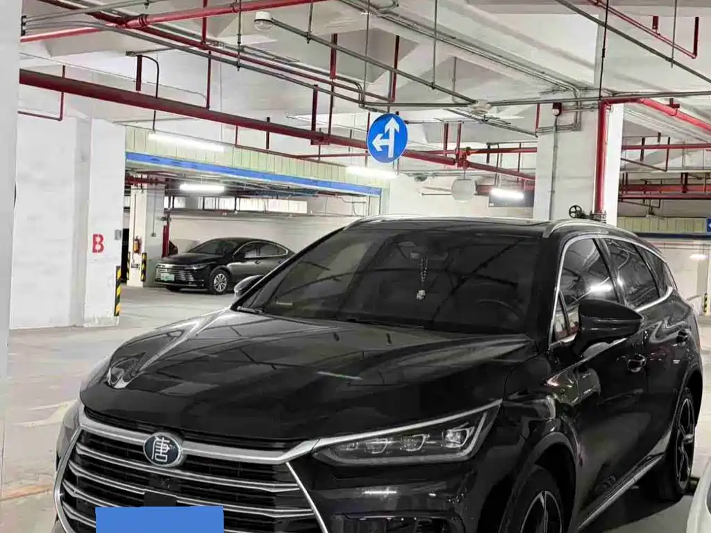 BYD Tang New Energy 2022 — фото 1