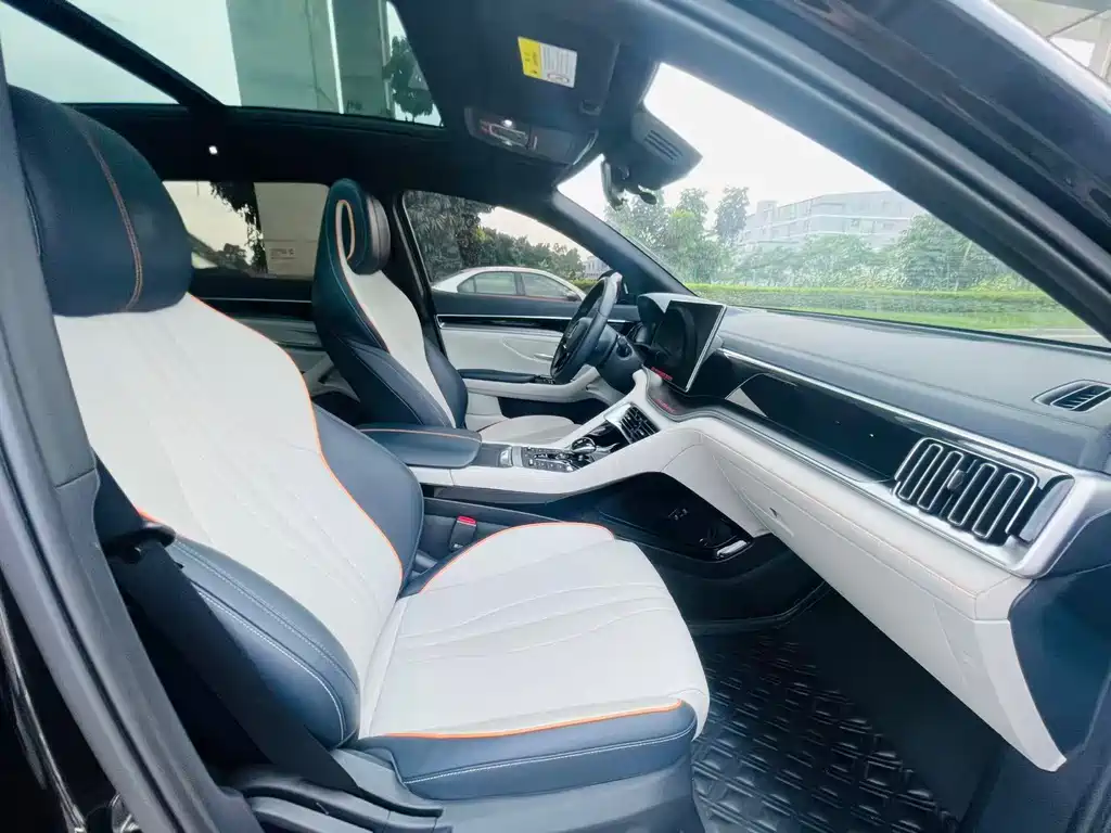 BYD PLUS New Energy 2023 — фото 10
