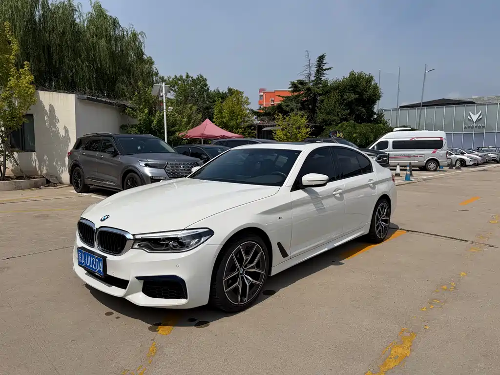 BMW 5 Series 2019