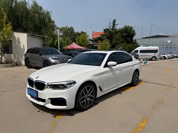 BMW 5 Series 2019