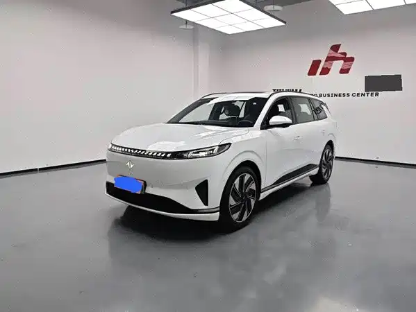 Dongfeng e008 2024