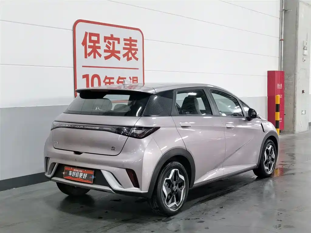 BYD Dolphin 2022