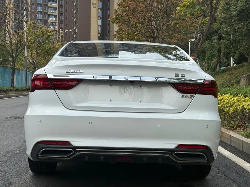 Geely Binrui 2019