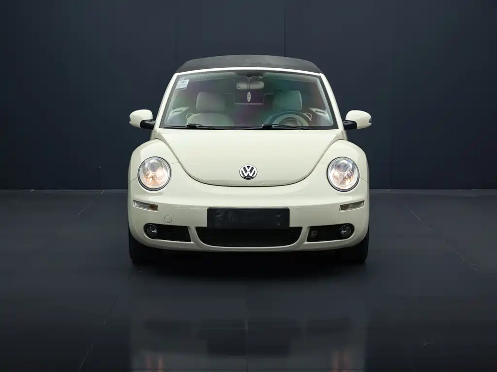 Volkswagen Beetle 2010