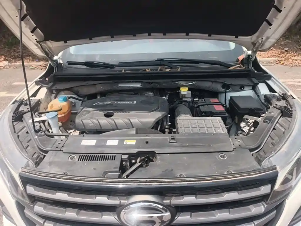 GAC Trumpchi GS4 2020 — фото 20