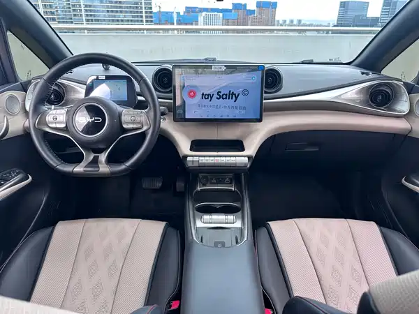 BYD Dolphin 2024