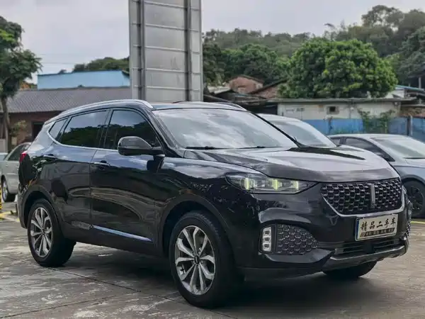 Wey VV6 2019