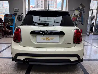 MINI MINI 2022
