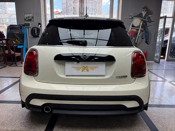 MINI MINI 2022