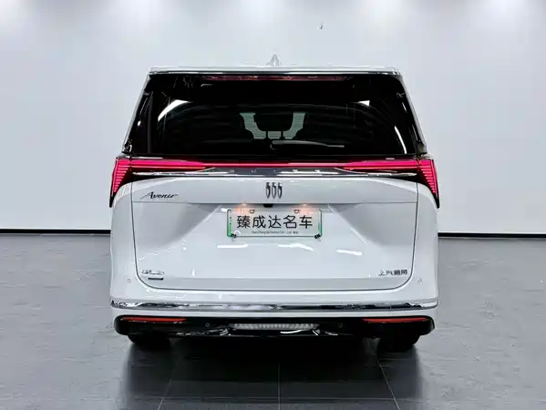 Buick GL8 New Energy 2024