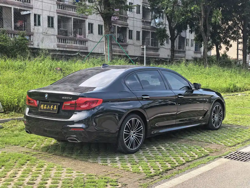 BMW 5 Series 2019