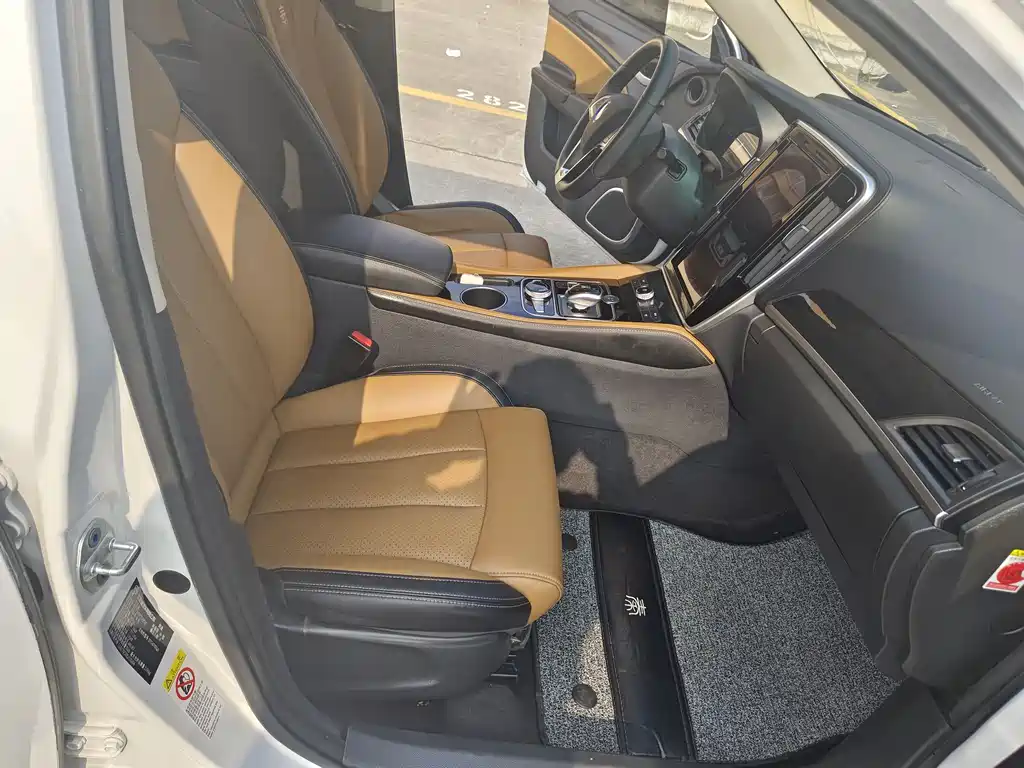 BYD Qin NEV 2020 — фото 12