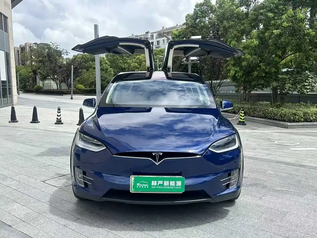 Tesla Model X 2018 — фото 2