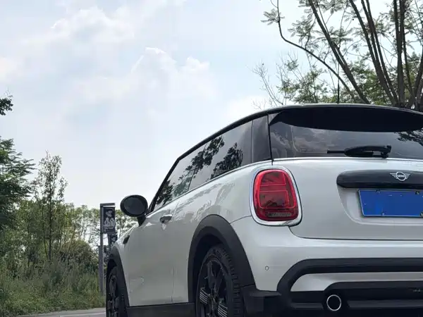 MINI MINI 2024