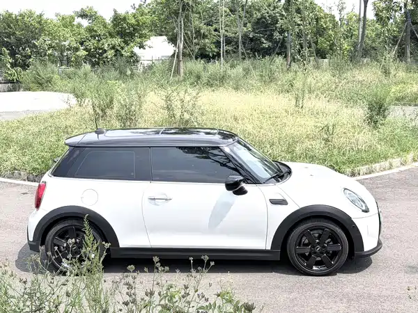 MINI MINI 2024
