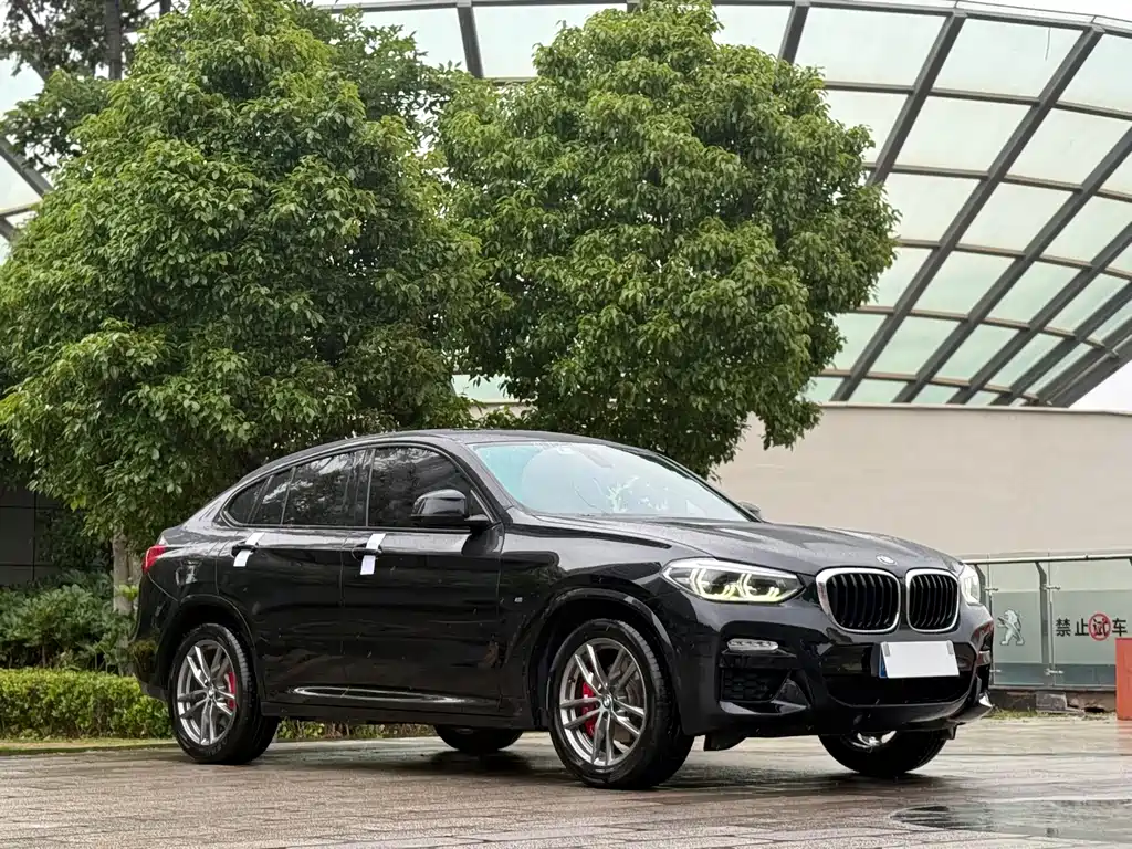 BMW X4 2019 — фото 3