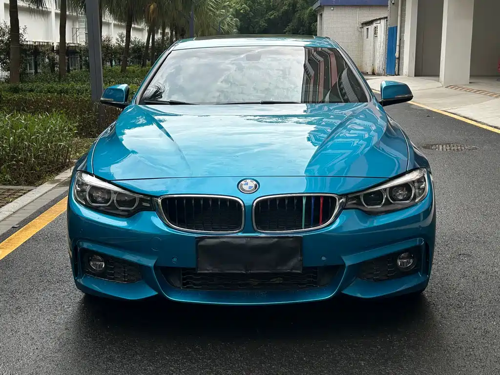 BMW 4 Series 2017 — фото 2
