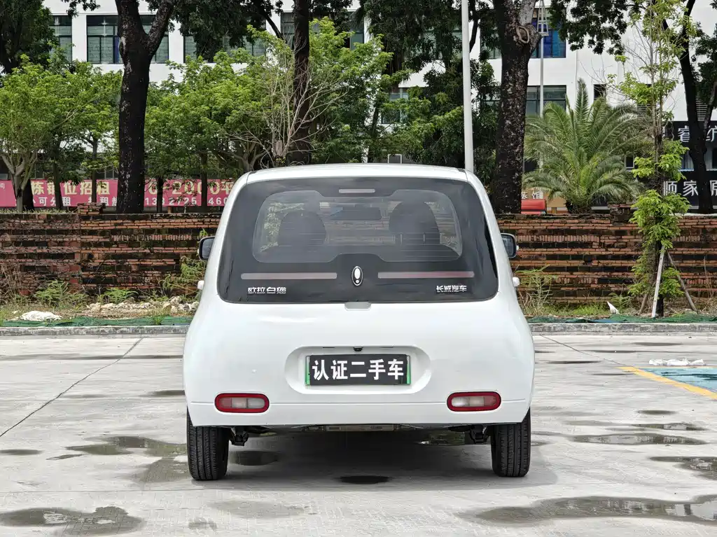 Ora White Cat 2022