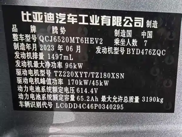 Denza D9 2024