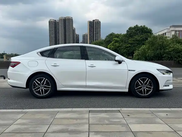 BYD Qin Pro New Energy 2019