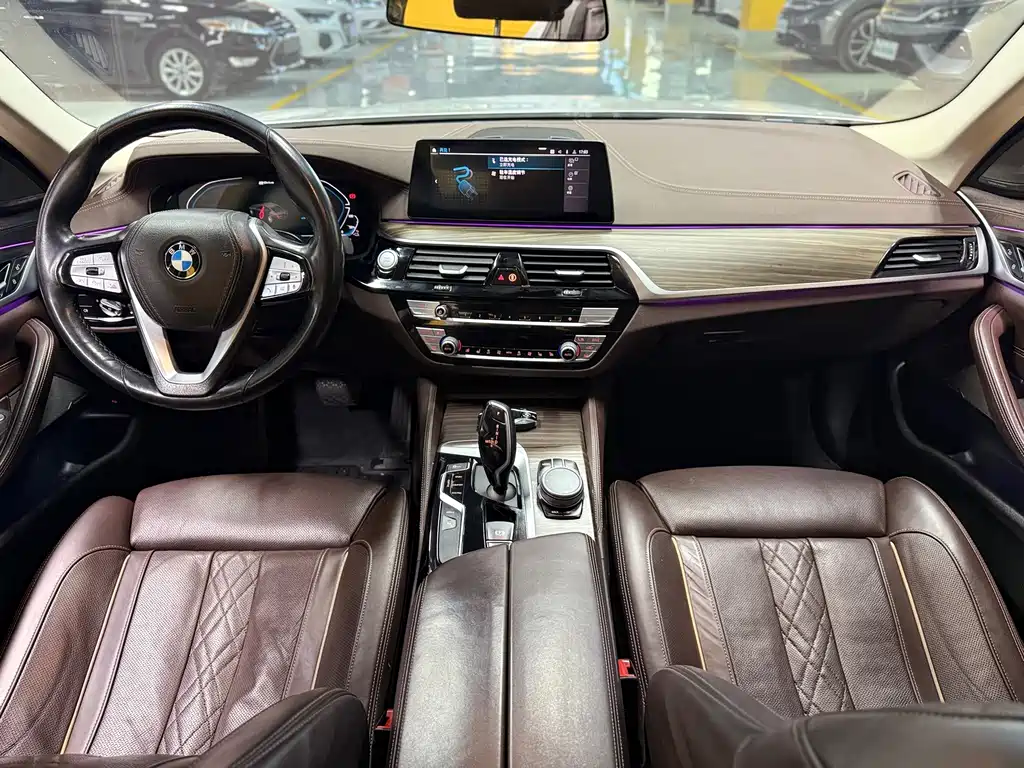 BMW 5 Series New Energy 2020 — фото 20