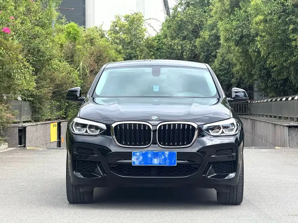 BMW X4 2021 — фото 2