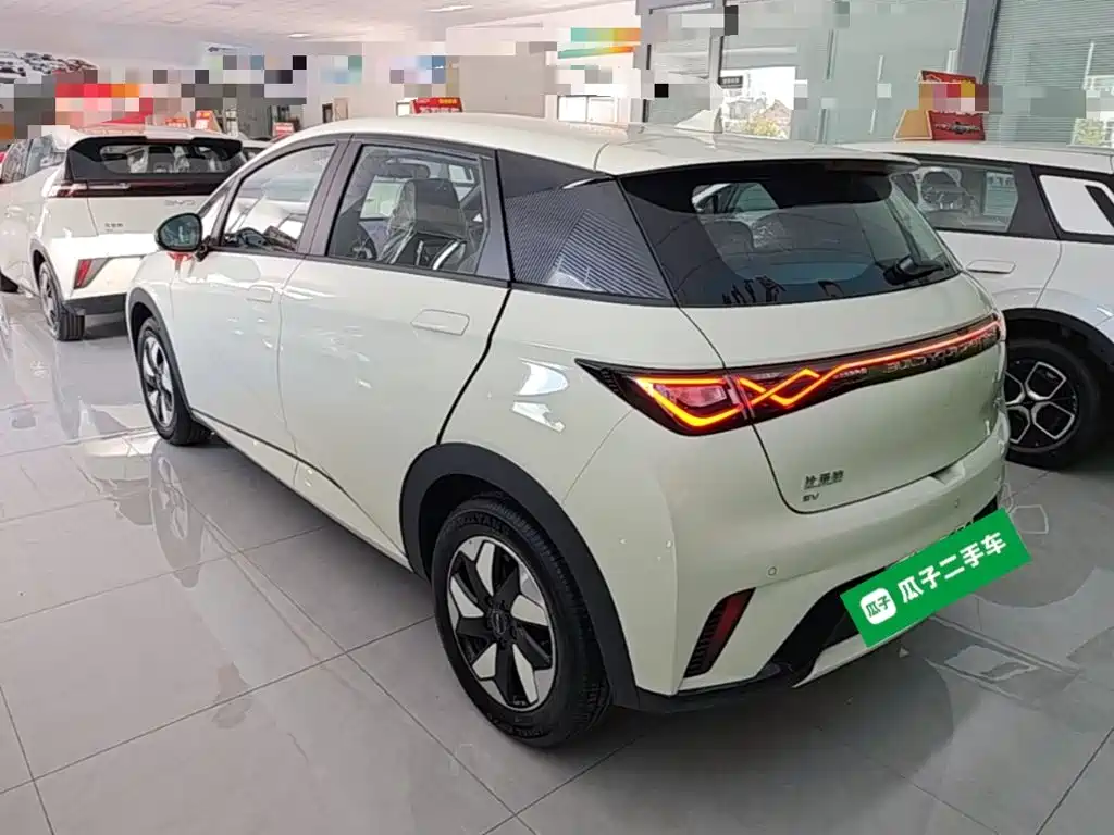 BYD Dolphin 2026