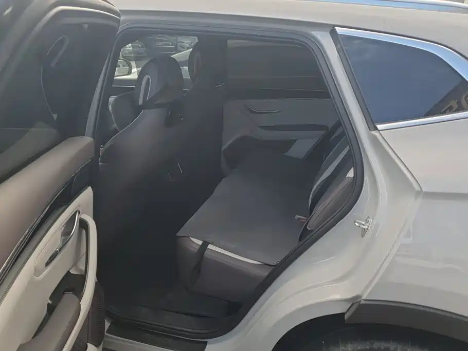 BYD Song PLUS New Energy 2024 — фото 11