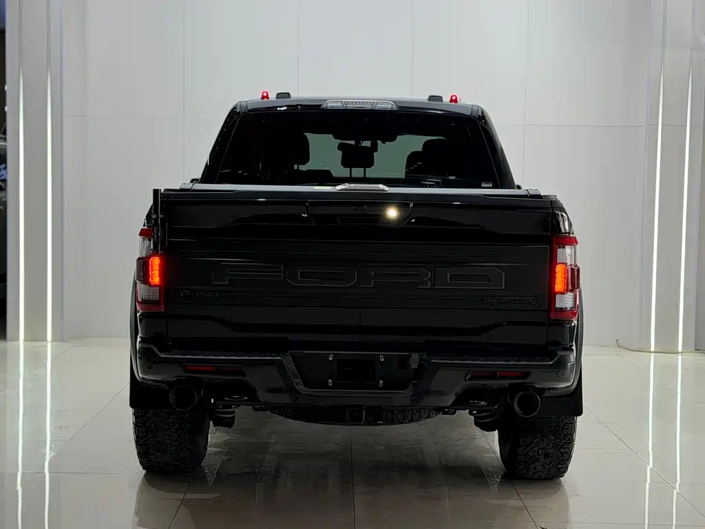 Ford F-150 Raptor 2024 — фото 17