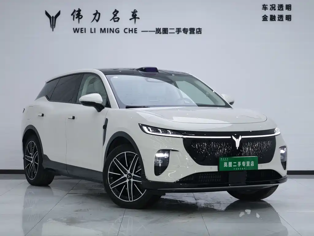 VOYAH Zhiyin 2025